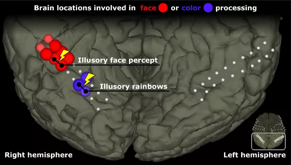 wsi imageoptim press release en small