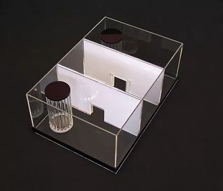 sociability cage white inserts