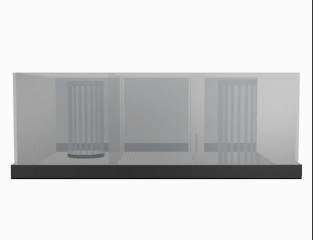 noldus sociability cage