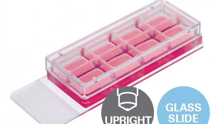 8 well chamber removable e1627222047697