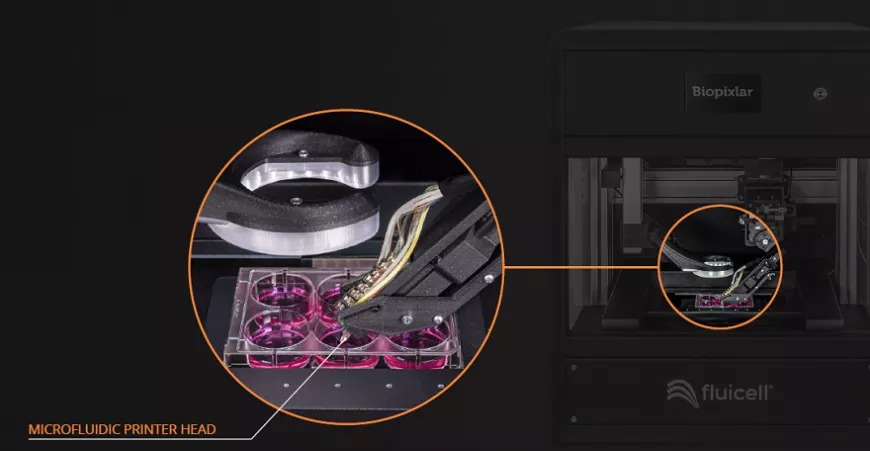 y2whcyd21r0a2bhcujgicwkhuda8qmrj4jsuqfjl