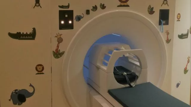 wsi imageoptim 444589958