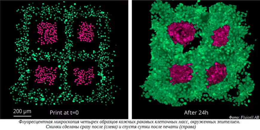 kzsyd7x0uncv8riqsfw4lirwze6n6xu2lpv8tsre