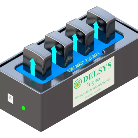 trigno avanti mobile 03