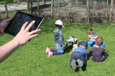 wsi imageoptim why observer 1