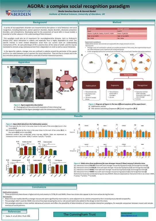 diapositiva1 543x768