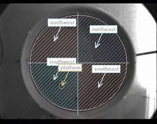 ethovision arena def water maze