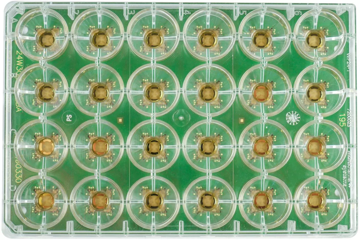 multiwell24 mea glass top nz5rbo90keawtiih275wjovym1iljwlx3v198f0f28