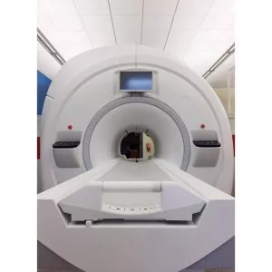 wsi imageoptim 18342637 10154365026270684 2793298881778327816 n 300x300