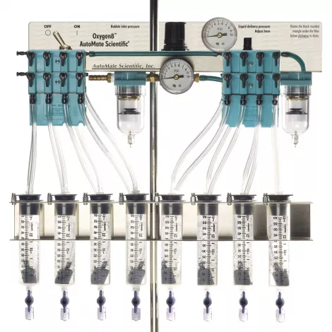 fake bubbled pressure lifted