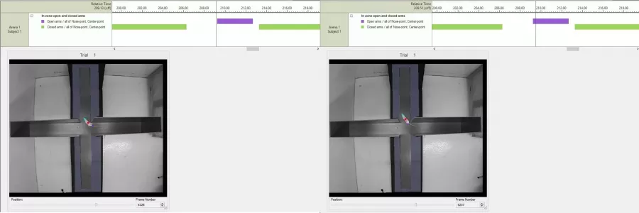 plus maze visualization12