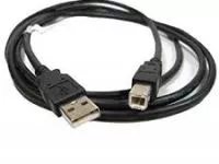 wsi imageoptim 2309465739