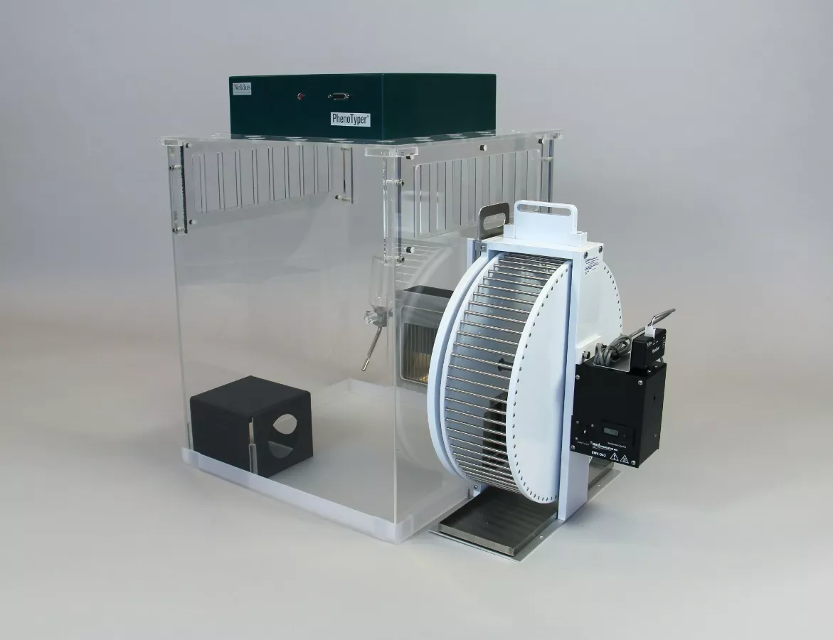 phenotyper running wheel rat