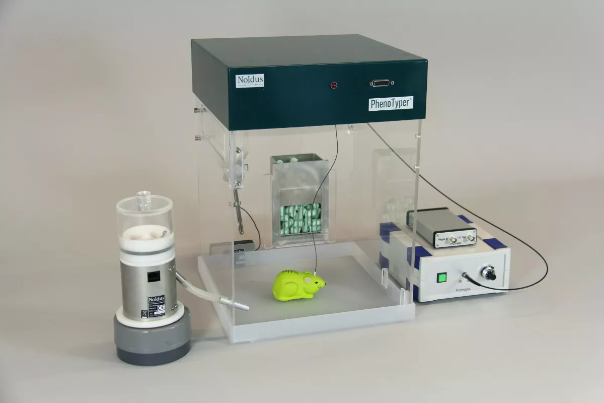 phenotyper optogenetics