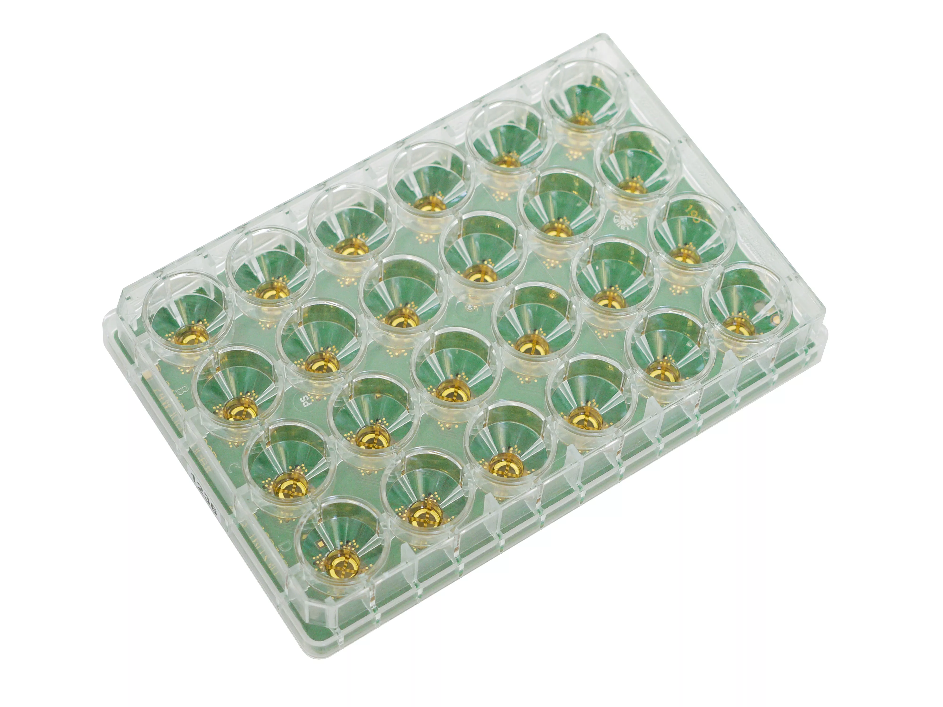 multiwell24 mea glass perspective 1