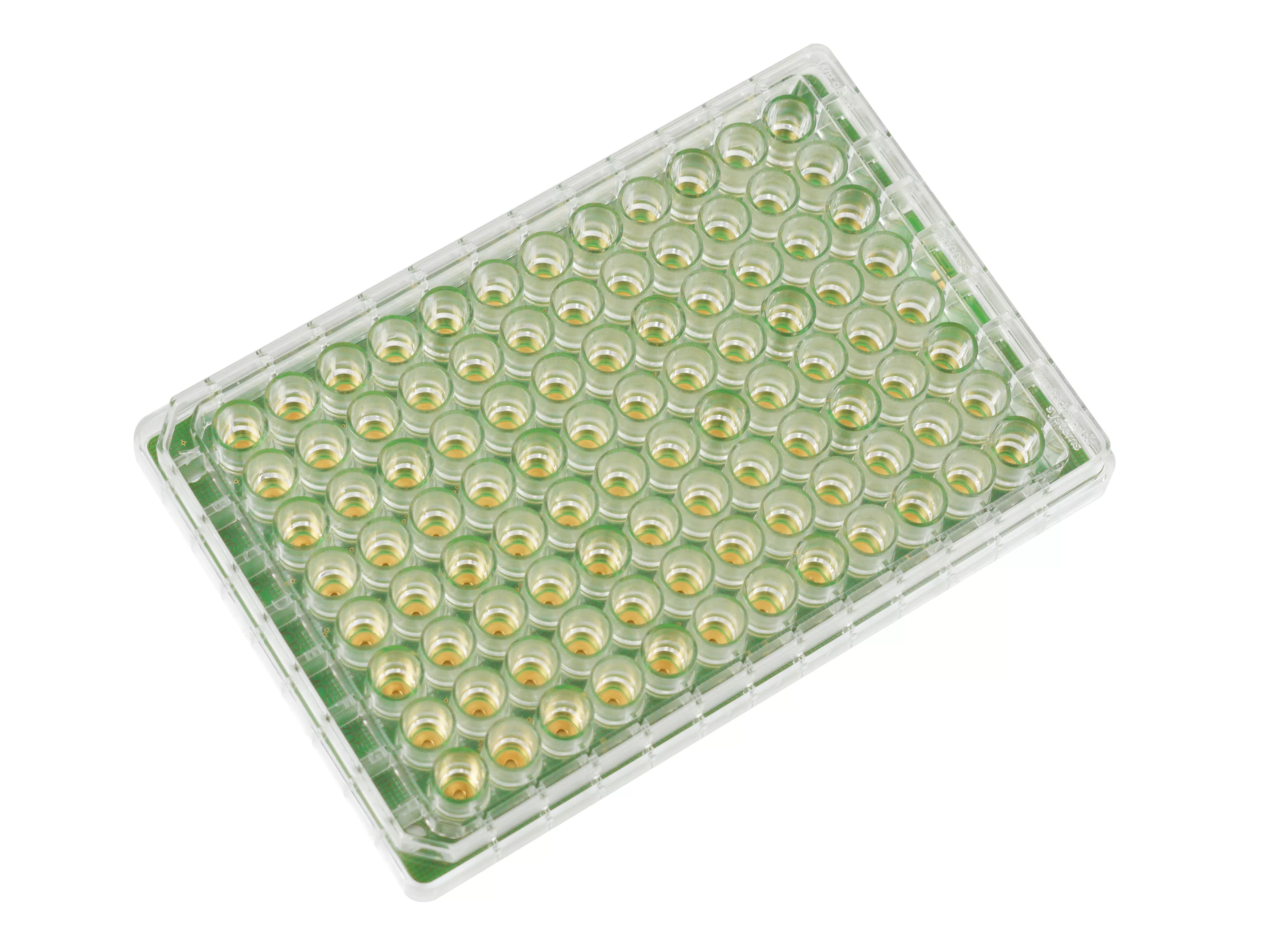 multiwell96 mea glass perspective