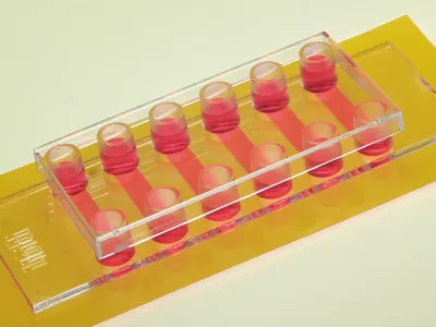 sticky slide vi 04 1