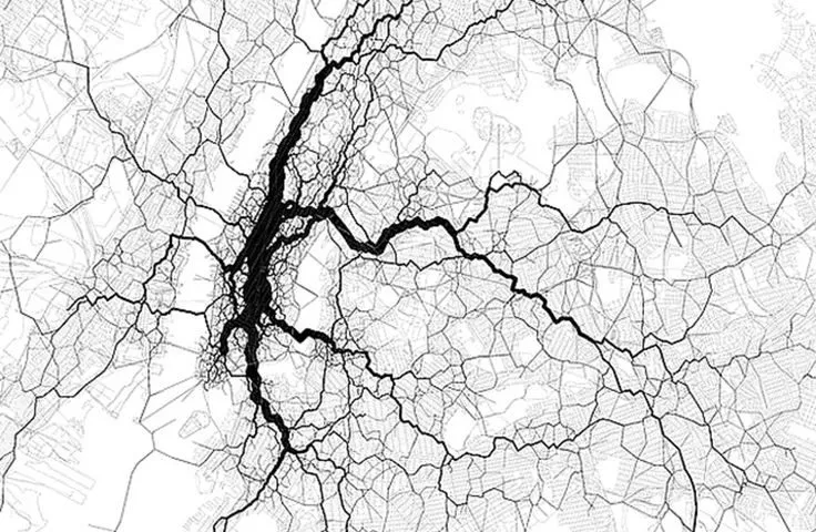 neuroscience picture5