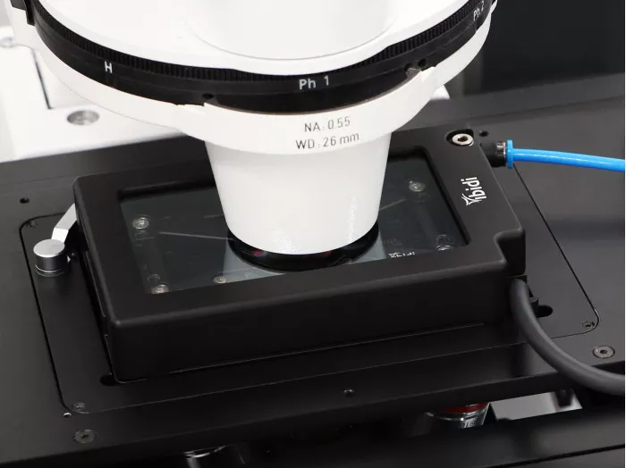 ibidi stage top incubator slidedish co2 silver line 2